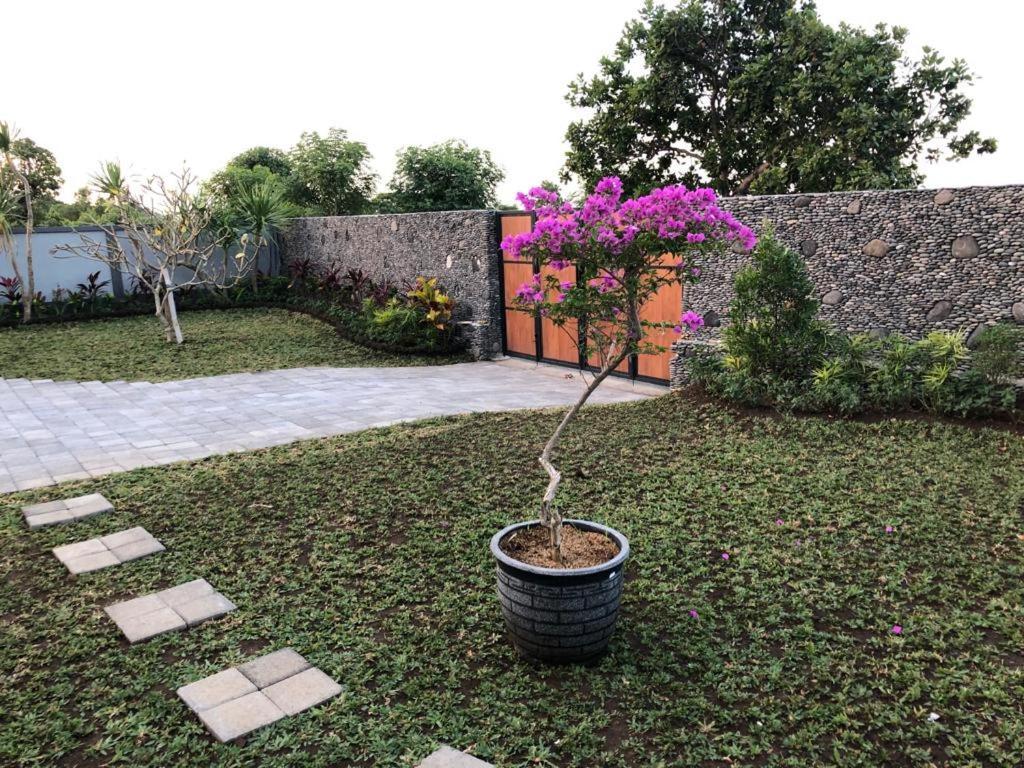 Villa Rosa East Bali Karangasem Buitenkant foto